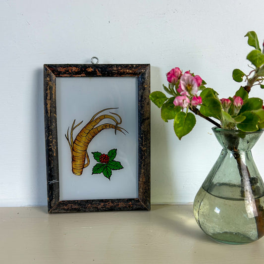 constance-and-denny-indian-reverse-glass-painting-boxed-packaging-hand-painted-artisan-art-individual-botanical-ginger-small-2