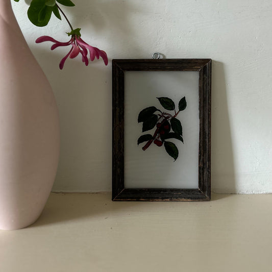 constance-and-denny-indian-reverse-glass-painting-boxed-packaging-hand-painted-artisan-gallery-walll-display-art-plant