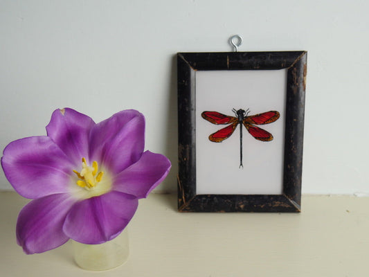 constance-and-denny-indian-reverse-painting-boxed-packaging-hand-painted-artisan-red-dragonfly