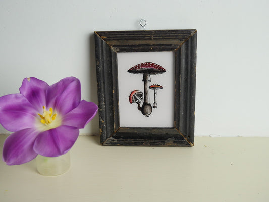 constance-and-denny-indian-reverse-painting-boxed-packaging-hand-painted-artisan-toad-stool-extra-small