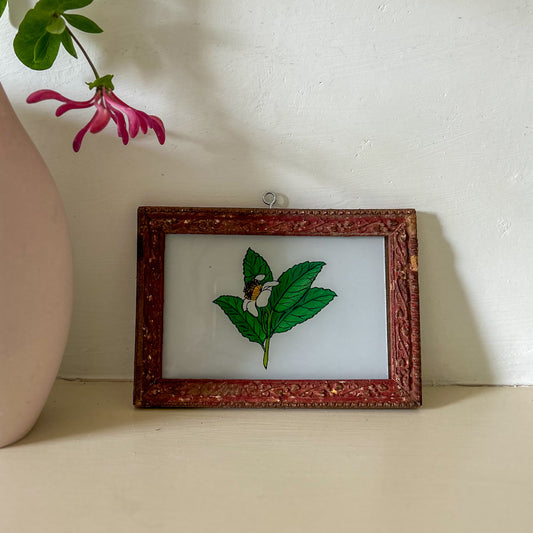 constance-and-denny-indian-reverse-glass-painting-boxed-packaging-hand-painted-artisan-gallery-walll-display-art-white-flower