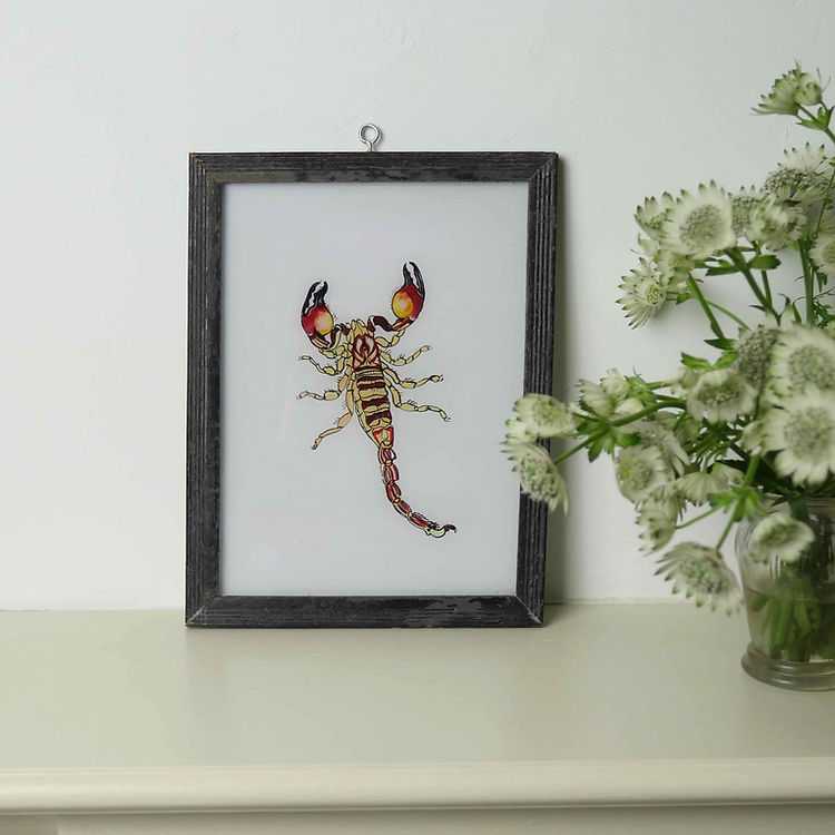 constance-and-denny-indian-reverse-painting-boxed-packaging-hand-painted-artisan-yellow-scorpian