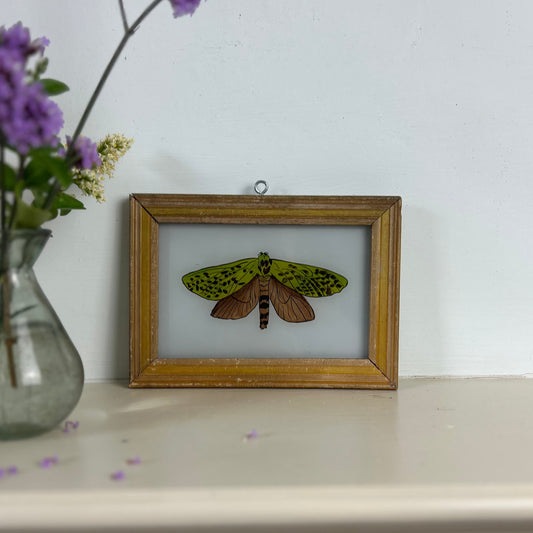 indian-reverse-glass-painting-moth-small