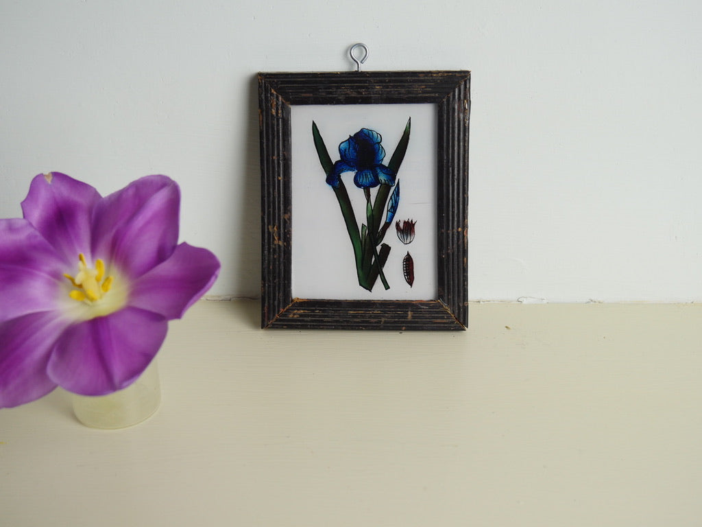 BLUE IRIS
indian paintings
glass painting
hand painted