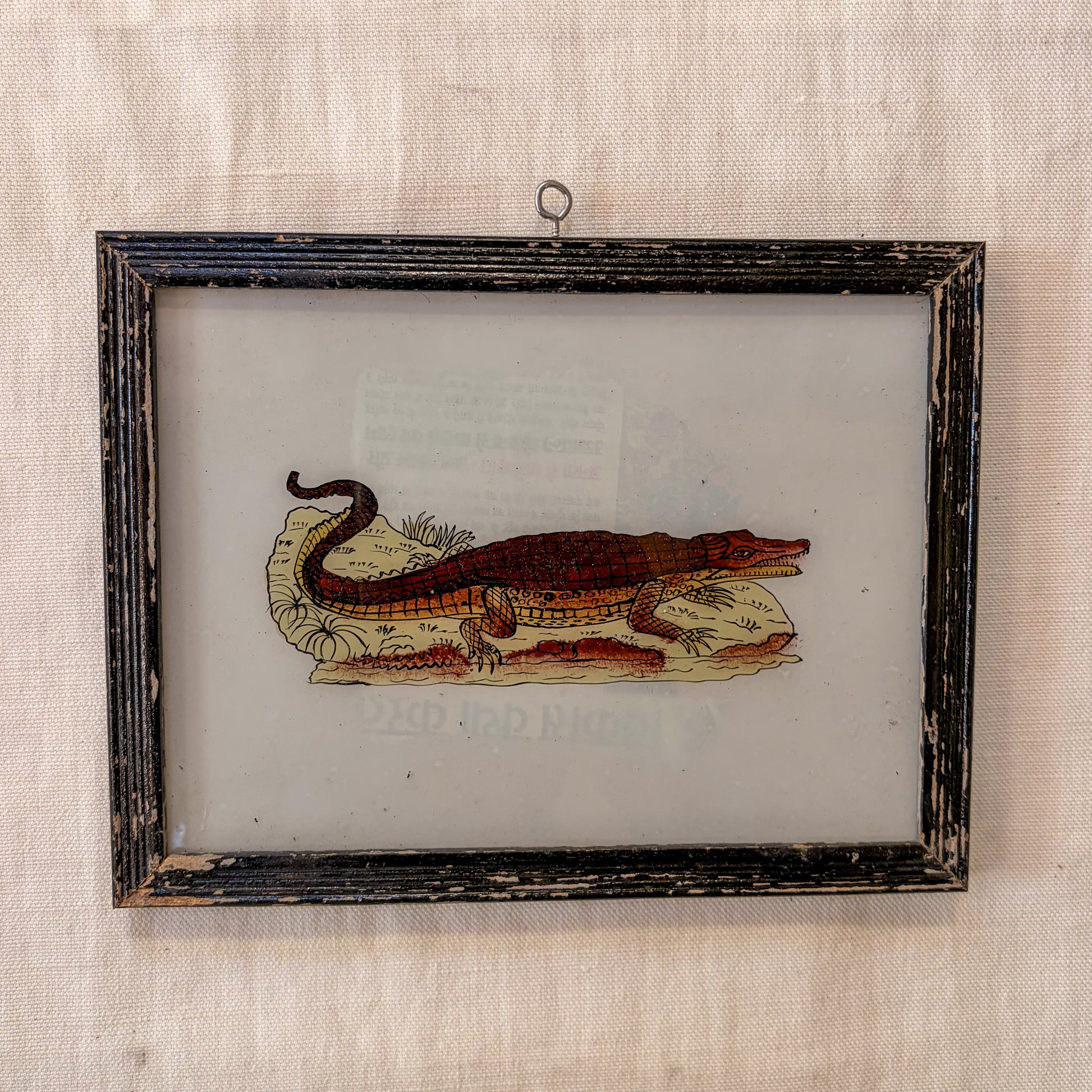 Framed illustration of an alligator on a textured beige wall