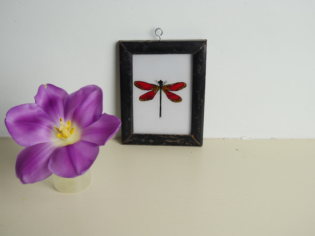 DRAGONFLY
indian paintings
glass painting
hand painted