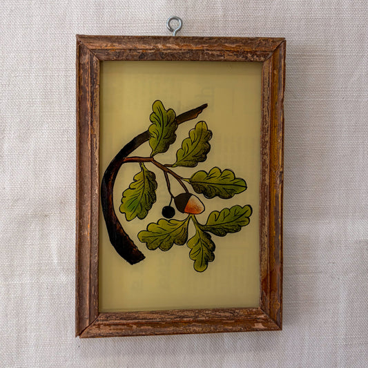 Framed artwork of a leafy branch with acorns on a textured wall background
