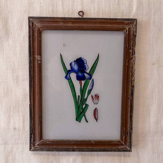 Framed artwork of a blue flower with green leaves on a textured beige background