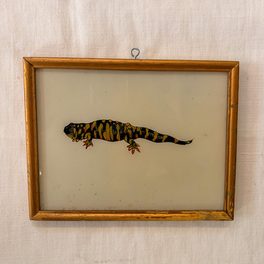 Framed illustration of a salamander on a textured beige background
