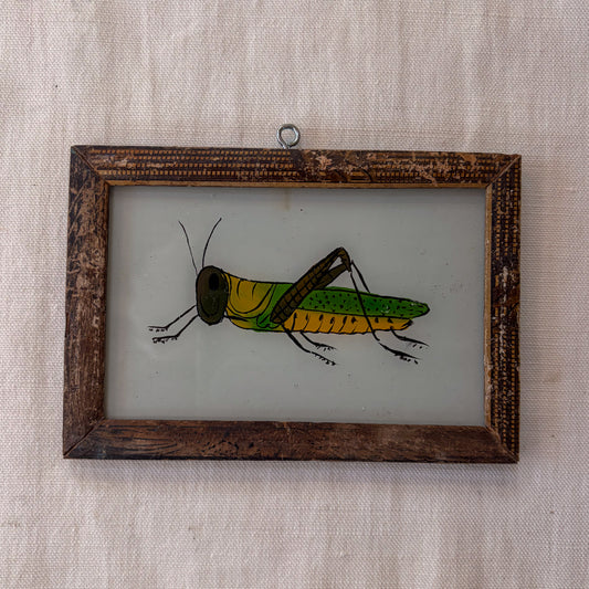 Framed illustration of a grasshopper on a textured beige background