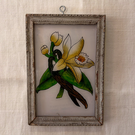 Framed artwork of a vanilla flower and pod on a textured beige background