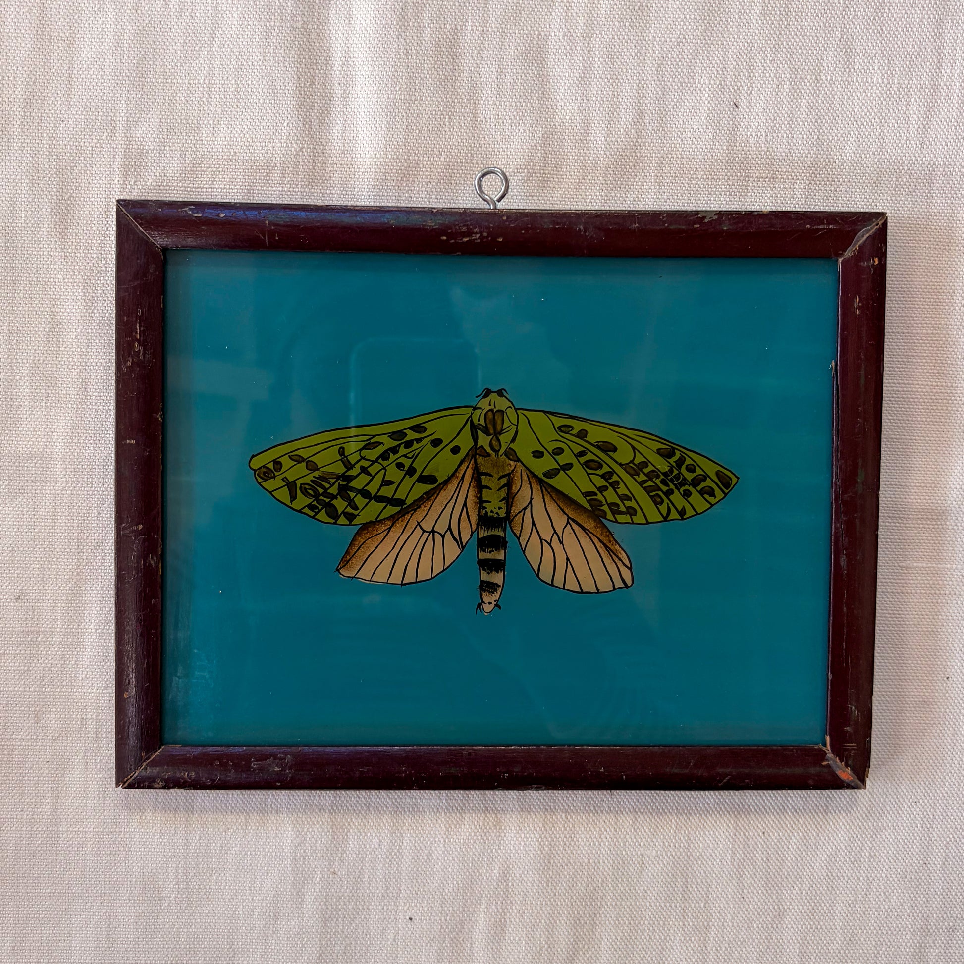 Framed artwork of a green moth on a blue background