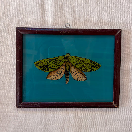 Framed artwork of a green moth on a blue background