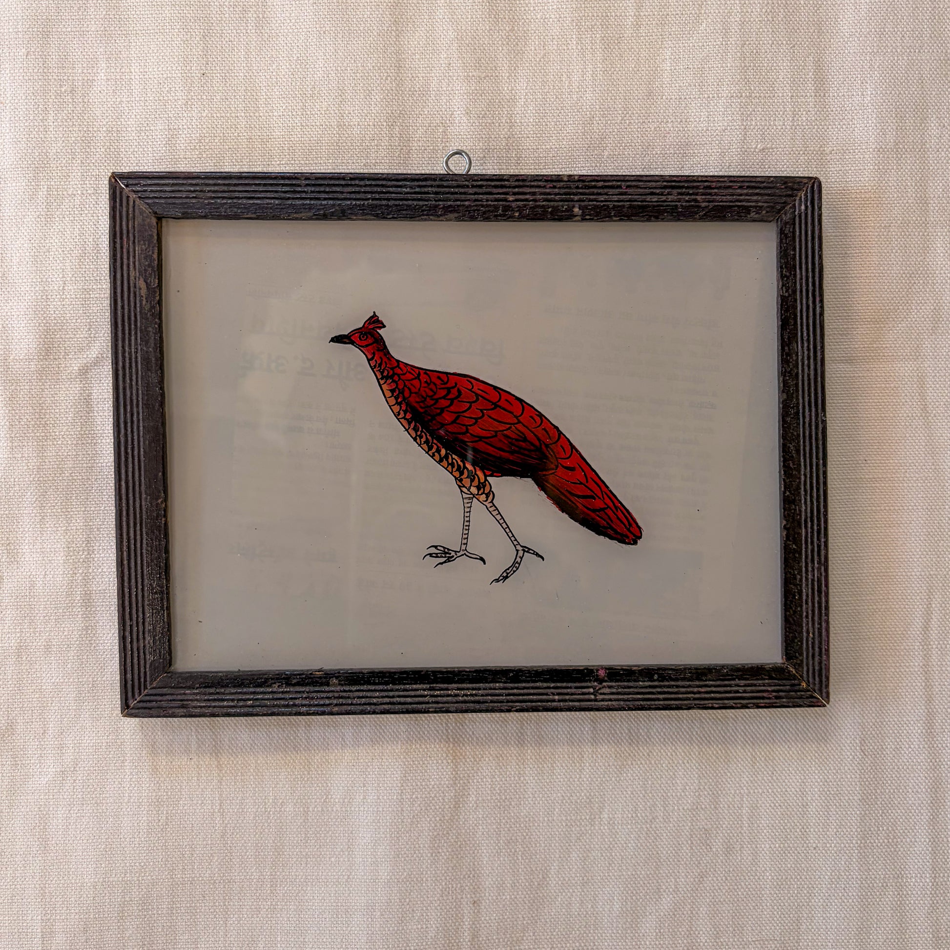 Framed artwork of a red bird on a textured beige wall
