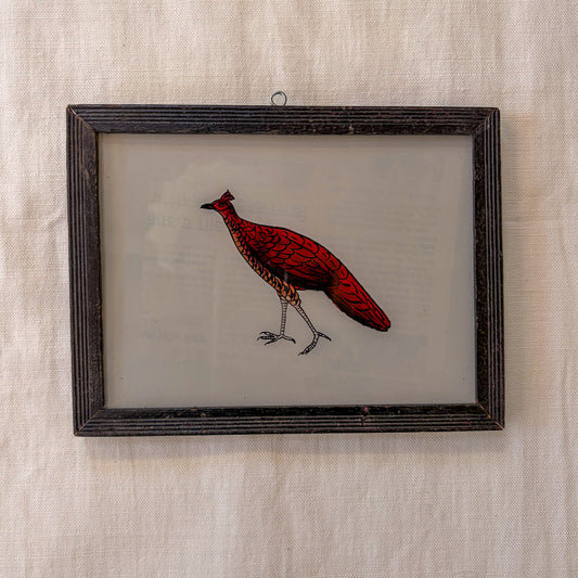 Framed artwork of a red bird on a textured beige wall