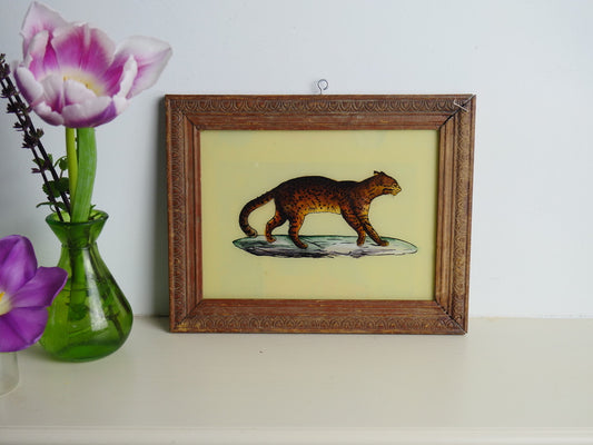 LEOPARD
indian paintings
glass painting
hand painted