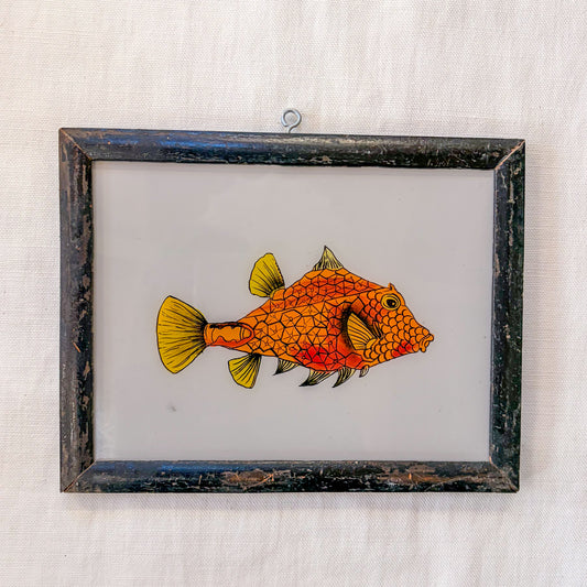 Framed artwork of a colorful fish on a textured white background