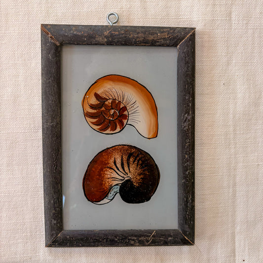 Framed artwork of two stylized nautilus shells on a textured beige background