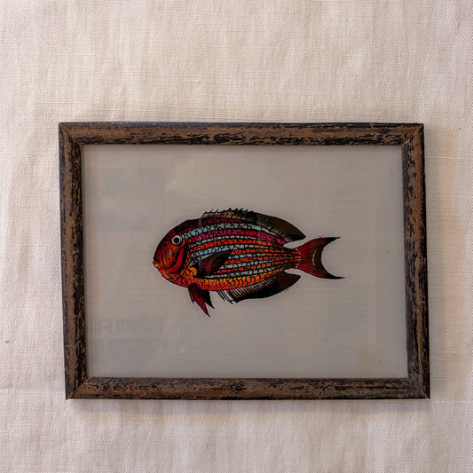 Framed artwork of a colorful fish on a textured beige background