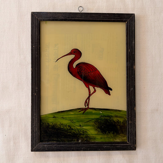 Framed artwork of a red ibis bird on a beige background