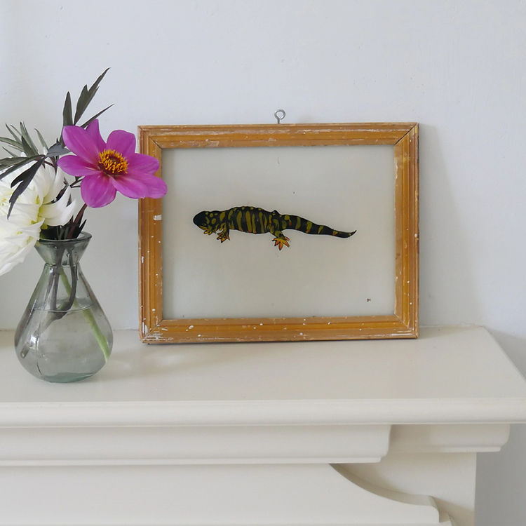 TIGER SALAMANDER Indian glass painting