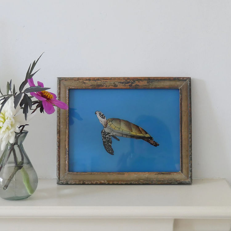 TURTLE SWIMMING Indian glass painting