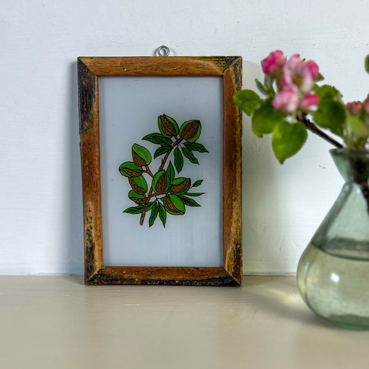 constance-and-denny-indian-reverse-glass-painting-boxed-packaging-hand-painted-artisan-art-individual-botanical-almond-small