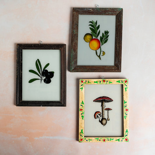 Medium Indian Glass Painting Collection x 3