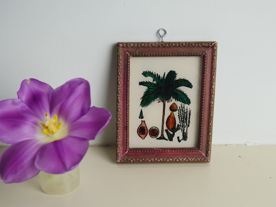 constance-and-denny-indian-reverse-painting-boxed-packaging-hand-painted-artisan-papaya-extra-small