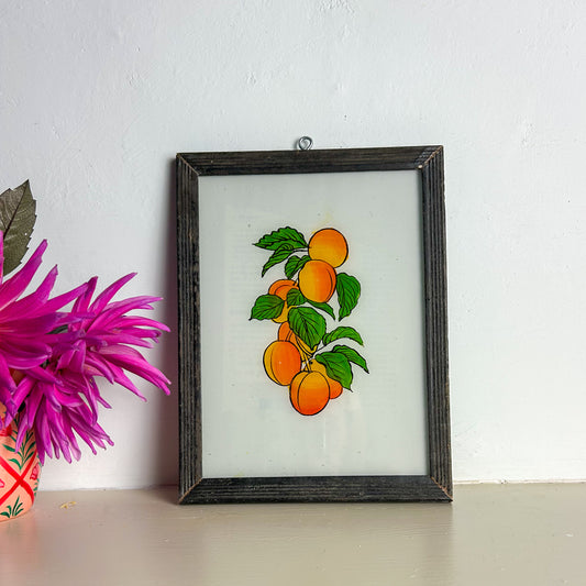 Framed artwork of apricot and leaves on a white wall with a pink flower in the corner. inbdian painting