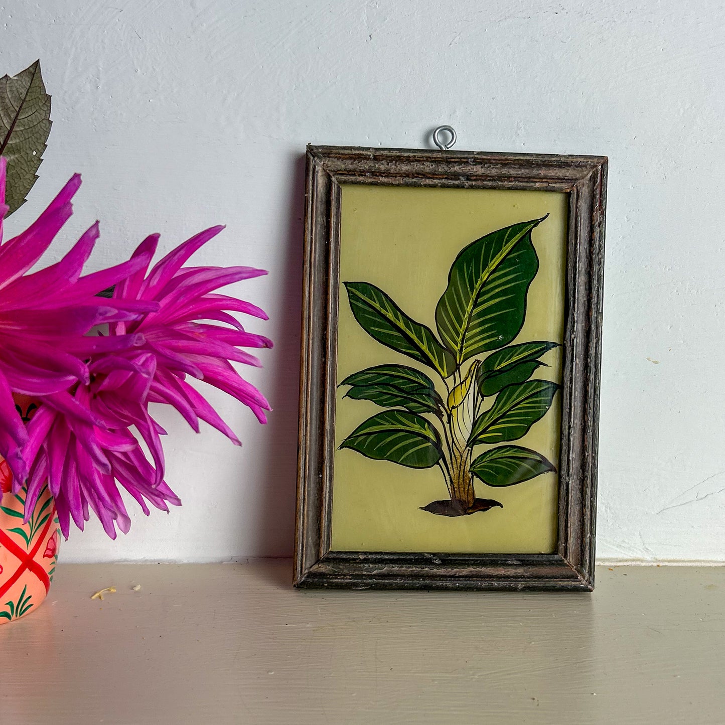 Framed botanical illustration of a plant next to a pink flower on a white wall.