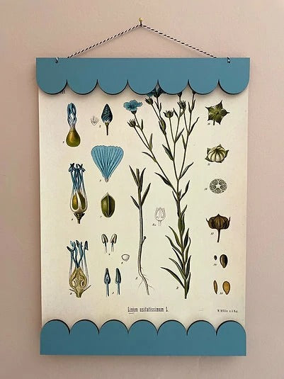 STONE BLUE scalloped magnetic picture hanger